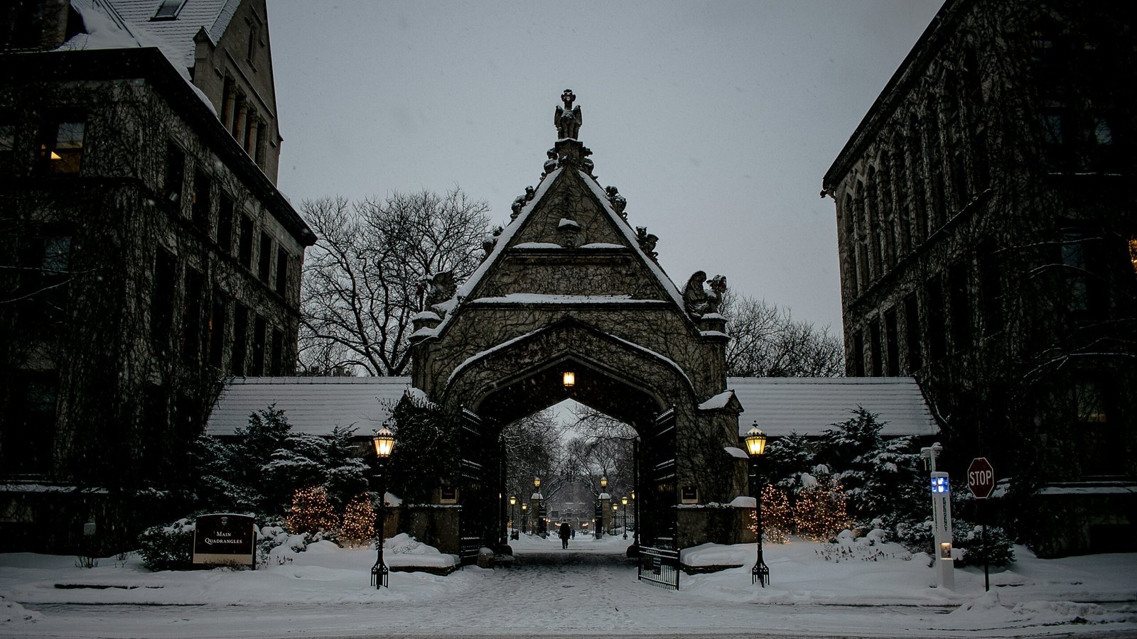 brown and gray concrete building covered with snow during daytime