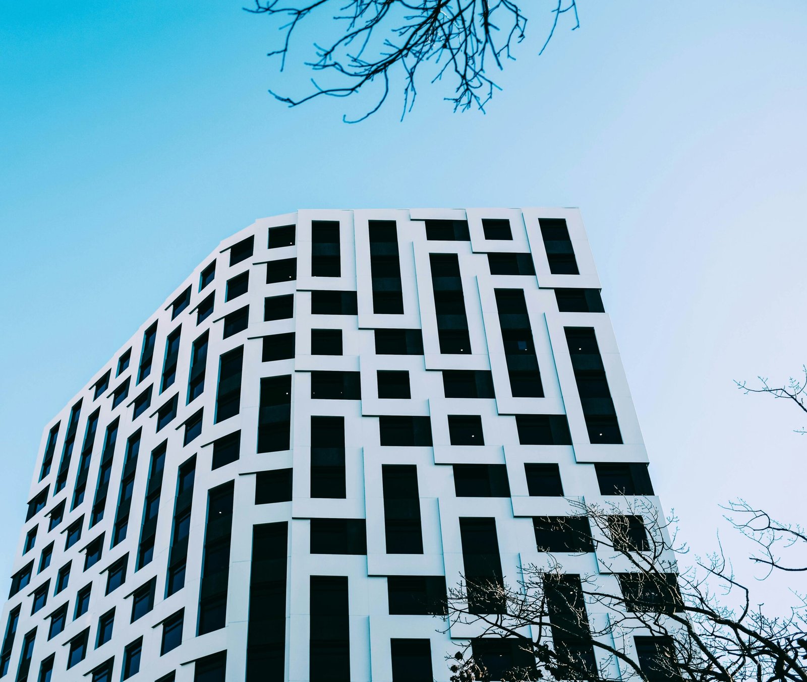 gray and black concrete curtain wall near trees